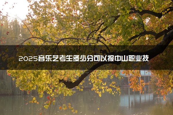 2025音乐艺考生多少分可以报中山职业技术学院