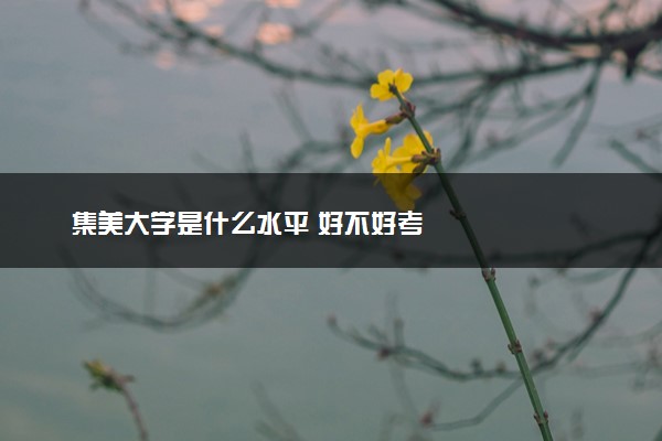 集美大学是什么水平 好不好考