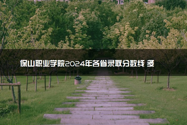 保山职业学院2024年各省录取分数线 多少分能考上