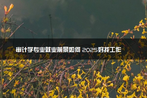 审计学专业就业前景如何 2025好找工作吗