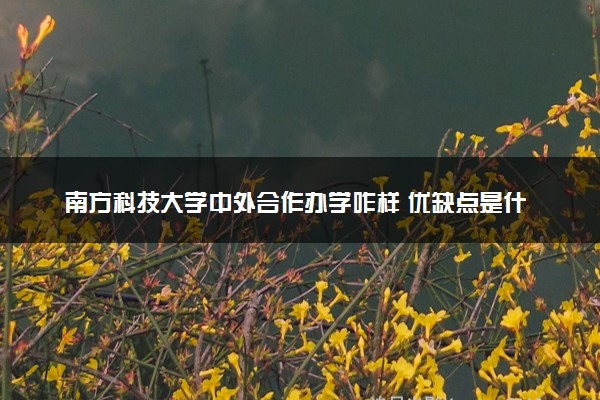 南方科技大学中外合作办学咋样 优缺点是什么