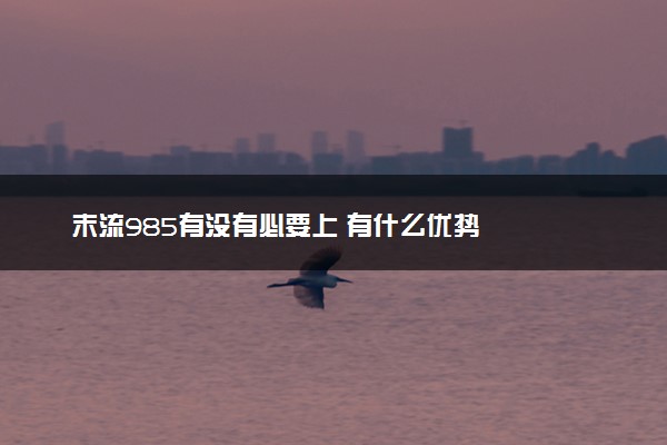 末流985有没有必要上 有什么优势