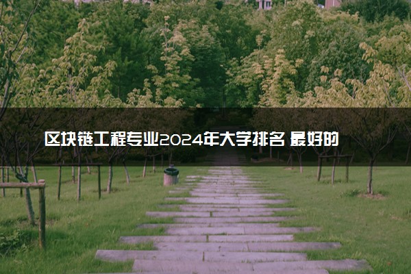 区块链工程专业2024年大学排名 最好的大学排行榜