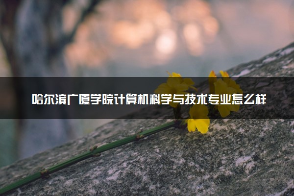 哈尔滨广厦学院计算机科学与技术专业怎么样 录取分数线多少