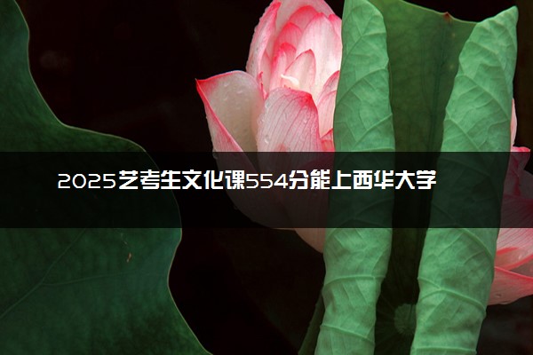 2025艺考生文化课554分能上西华大学吗