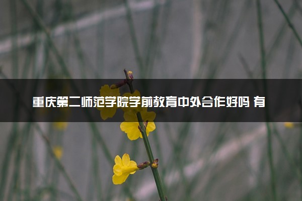 重庆第二师范学院学前教育中外合作好吗 有哪些优势