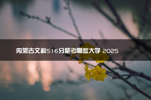 内蒙古文科516分能考哪些大学 2025考生稳上的大学名单