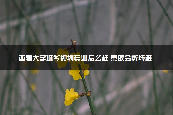 西藏大学城乡规划专业怎么样 录取分数线多少