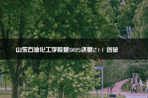 山东石油化工学院是985还是211 含金量怎么样