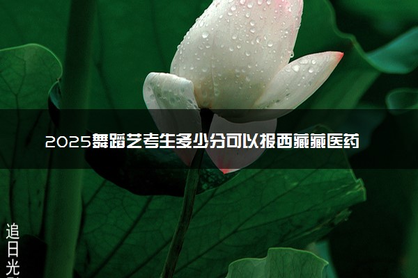 2025舞蹈艺考生多少分可以报西藏藏医药大学