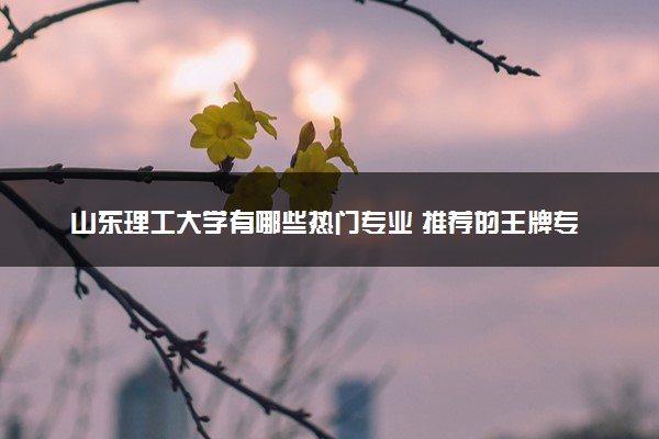 山东理工大学有哪些热门专业 推荐的王牌专业