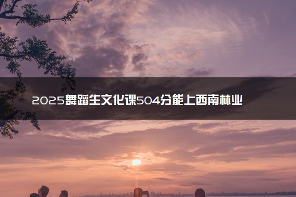 2025舞蹈生文化课504分能上西南林业大学吗