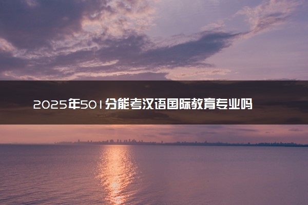 2025年501分能考汉语国际教育专业吗 501分汉语国际教育专业大学推荐