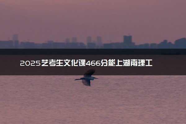 2025艺考生文化课466分能上湖南理工学院吗