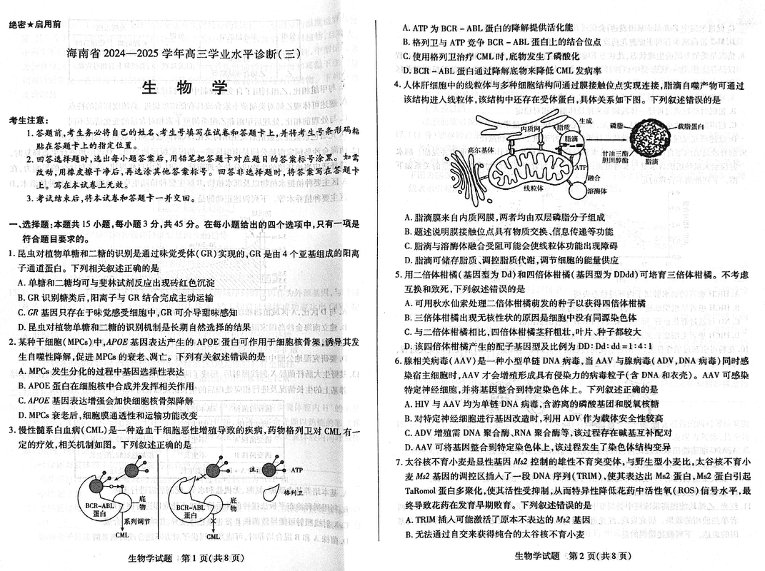 海南省天一大联考2024-2025学年高三学业水平诊断(三)生物试题及答案