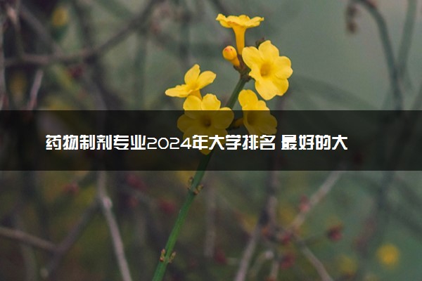 药物制剂专业2024年大学排名 最好的大学排行榜