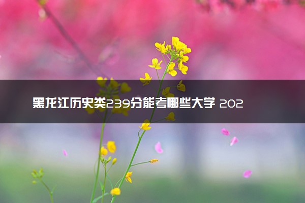 黑龙江历史类239分能考哪些大学 2025考生稳上的大学名单