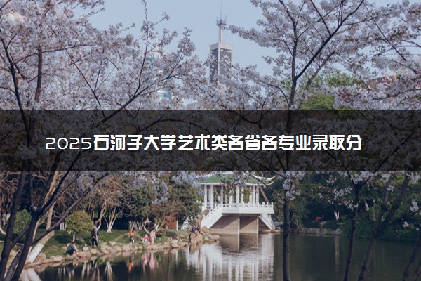 2025石河子大学艺术类各省各专业录取分数线汇总