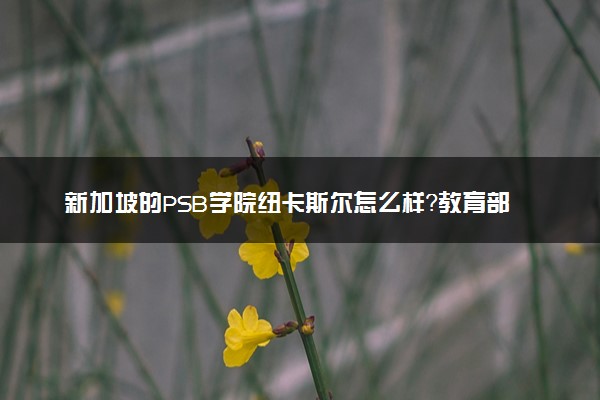 新加坡的PSB学院纽卡斯尔怎么样？教育部承认吗？