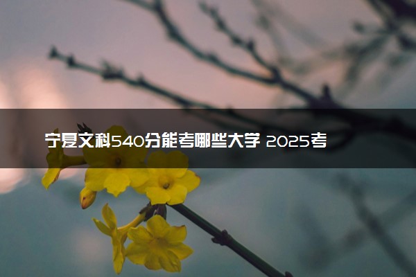 宁夏文科540分能考哪些大学 2025考生稳上的大学名单