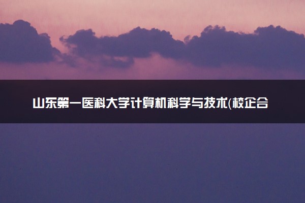 山东第一医科大学计算机科学与技术（校企合作 健康医疗大数据开发与应用方向）专业怎么样 录取分数线多少