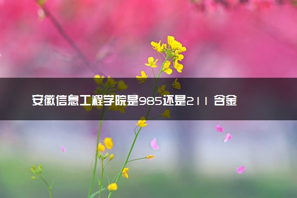 安徽信息工程学院是985还是211 含金量怎么样