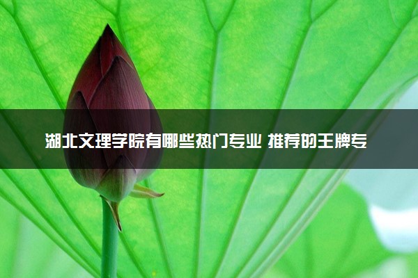 湖北文理学院有哪些热门专业 推荐的王牌专业