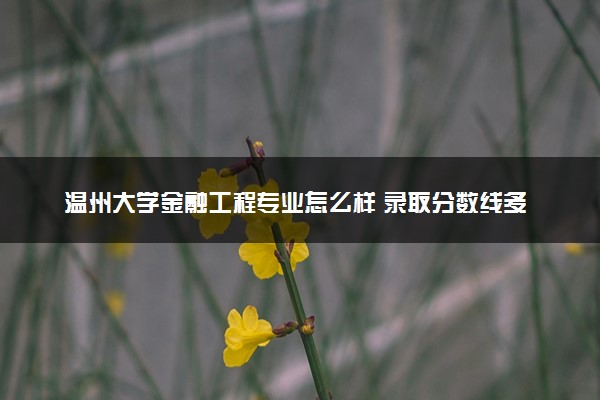 温州大学金融工程专业怎么样 录取分数线多少