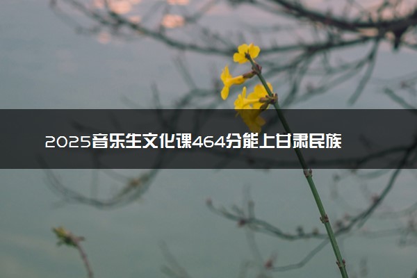 2025音乐生文化课464分能上甘肃民族师范学院吗