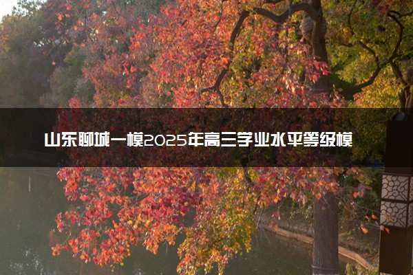 山东聊城一模2025年高三学业水平等级模拟卷试题及答案汇总