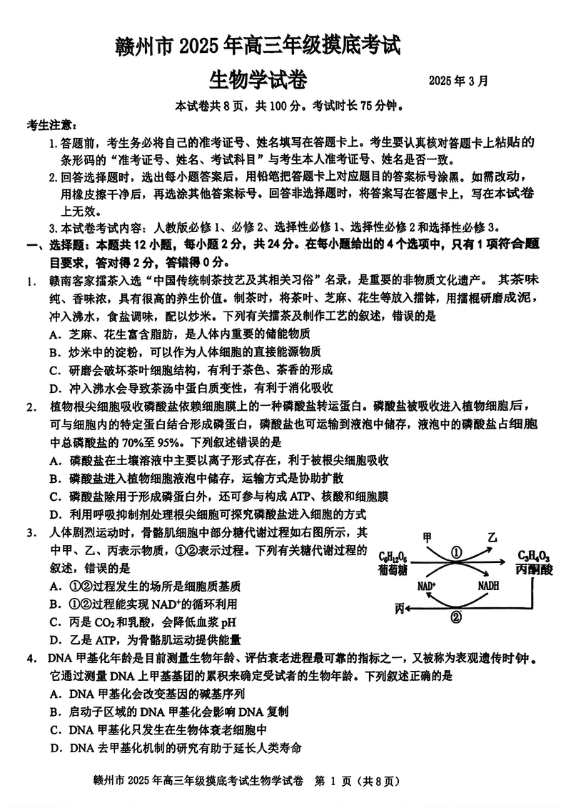 2025届江西赣州高三下学期3月一模生物试题及答案