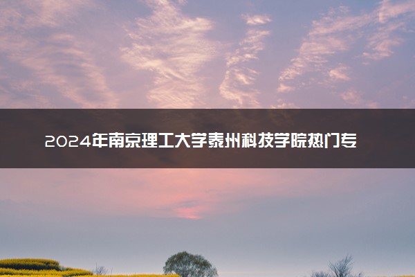 2024年南京理工大学泰州科技学院热门专业全国排名 有哪些专业比较好