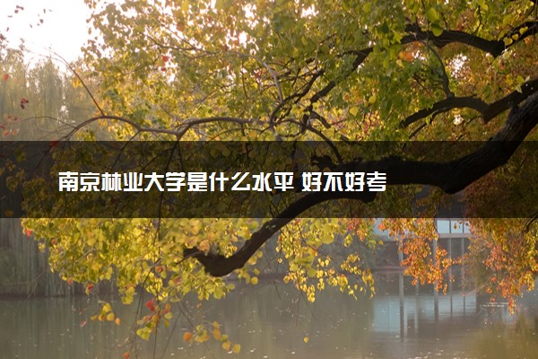 南京林业大学是什么水平 好不好考