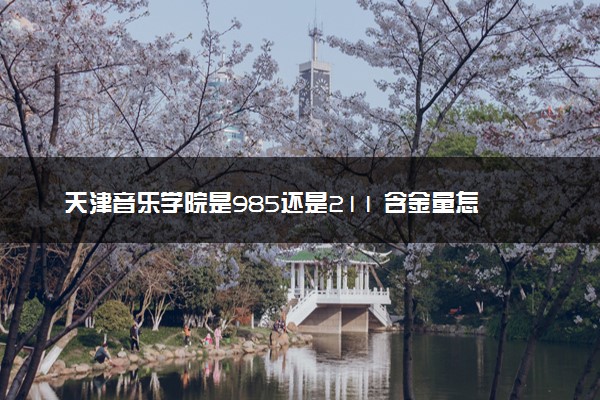 天津音乐学院是985还是211 含金量怎么样