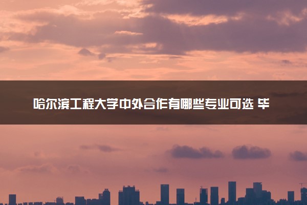 哈尔滨工程大学中外合作有哪些专业可选 毕业后是什么学位