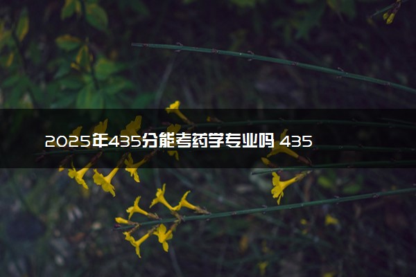 2025年435分能考药学专业吗 435分药学专业大学推荐