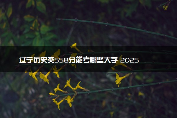 辽宁历史类558分能考哪些大学 2025考生稳上的大学名单