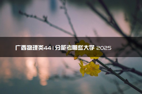 广西物理类441分能考哪些大学 2025考生稳上的大学名单