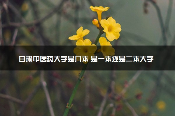 甘肃中医药大学是几本 是一本还是二本大学