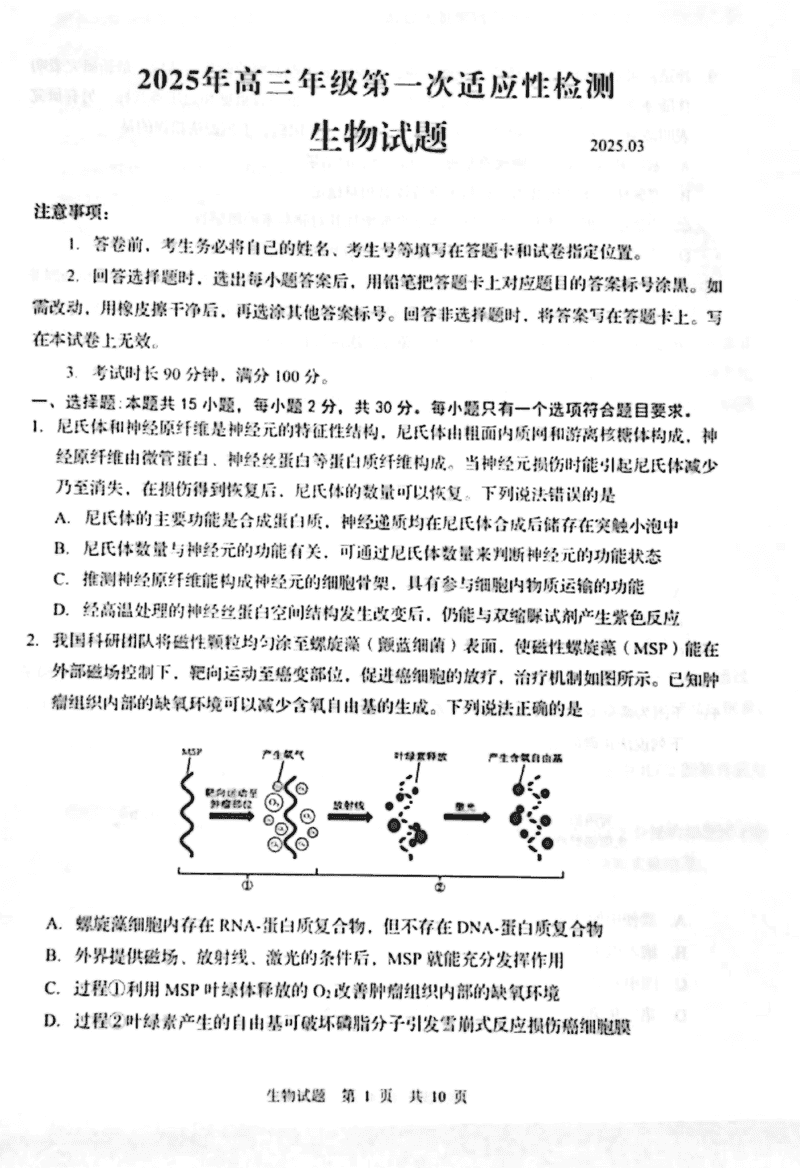 青岛一模2025年高三年级第一次适应性检测生物试题及答案