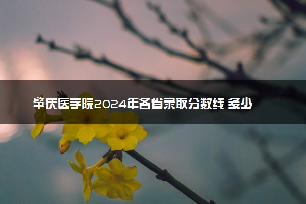 肇庆医学院2024年各省录取分数线 多少分能考上