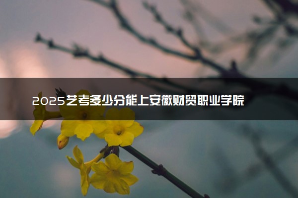 2025艺考多少分能上安徽财贸职业学院 最低分数线是多少