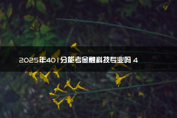 2025年401分能考金融科技专业吗 401分金融科技专业大学推荐