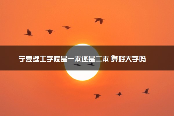 宁夏理工学院是一本还是二本 算好大学吗