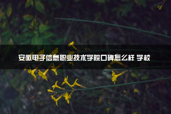 安徽电子信息职业技术学院口碑怎么样 学校好不好