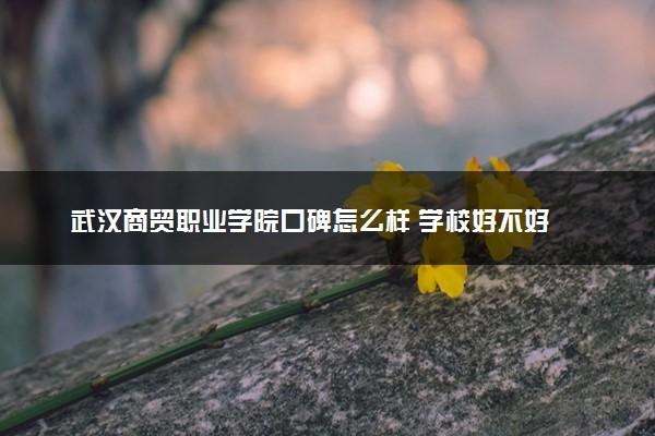 武汉商贸职业学院口碑怎么样 学校好不好