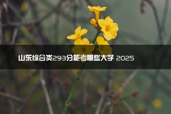 山东综合类293分能考哪些大学 2025考生稳上的大学名单