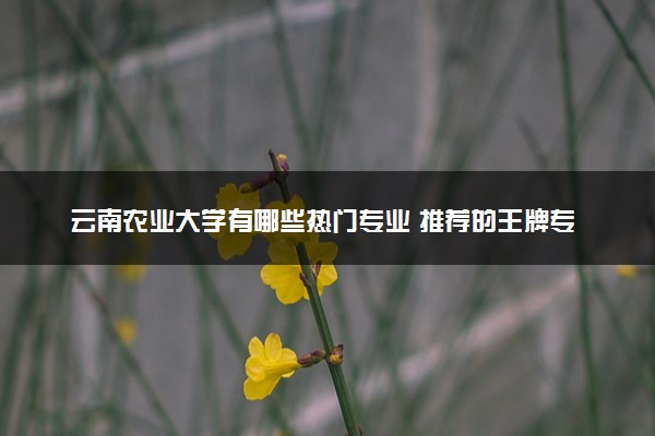 云南农业大学有哪些热门专业 推荐的王牌专业