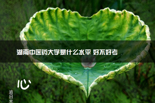 湖南中医药大学是什么水平 好不好考