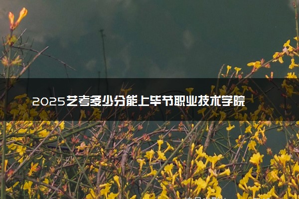 2025艺考多少分能上毕节职业技术学院 最低分数线是多少